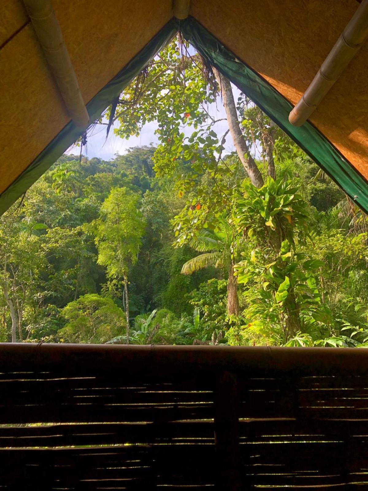 Sitio Simple Life Bed & Breakfast Ubatuba Bagian luar foto