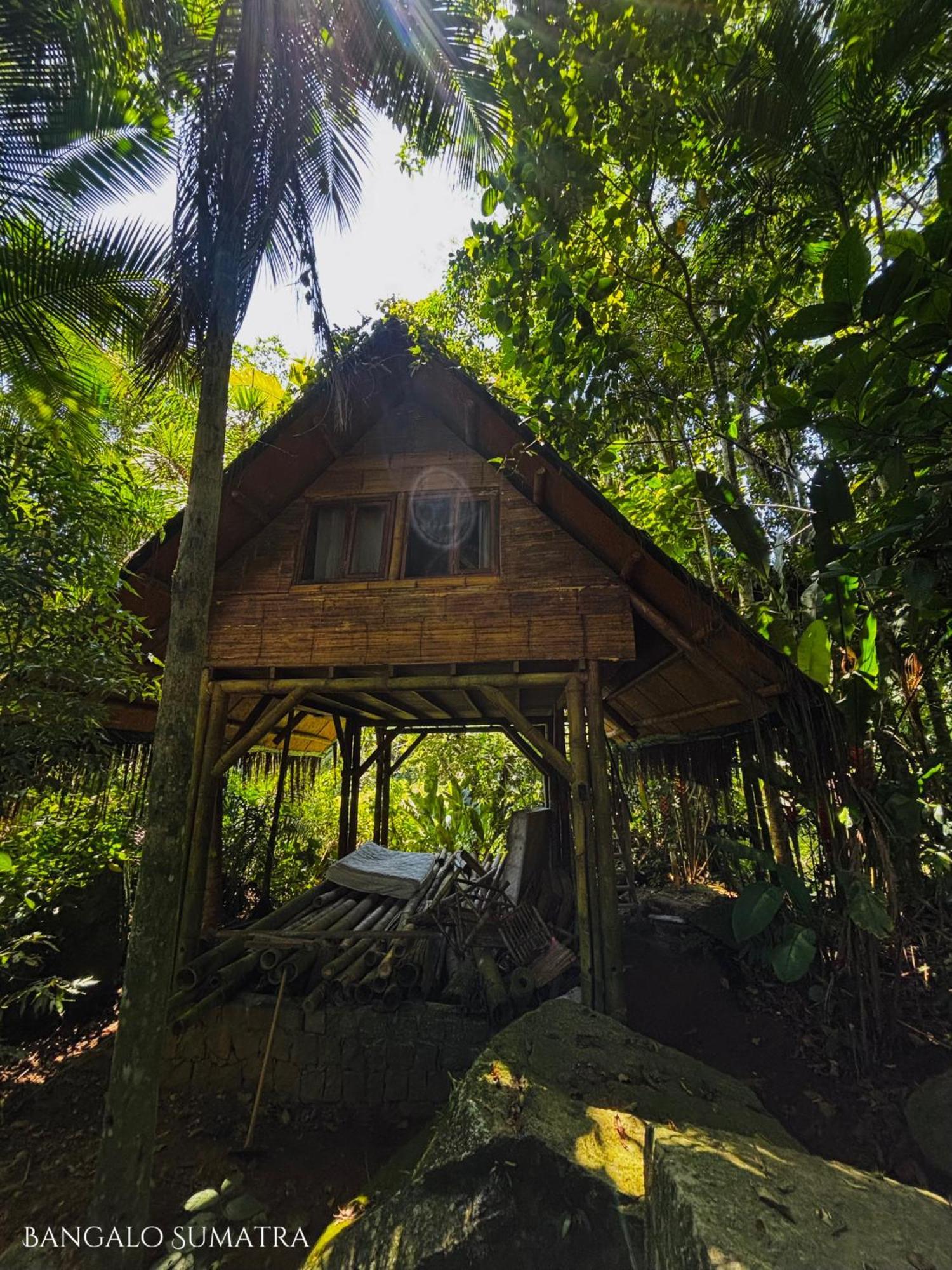 Sitio Simple Life Bed & Breakfast Ubatuba Bagian luar foto