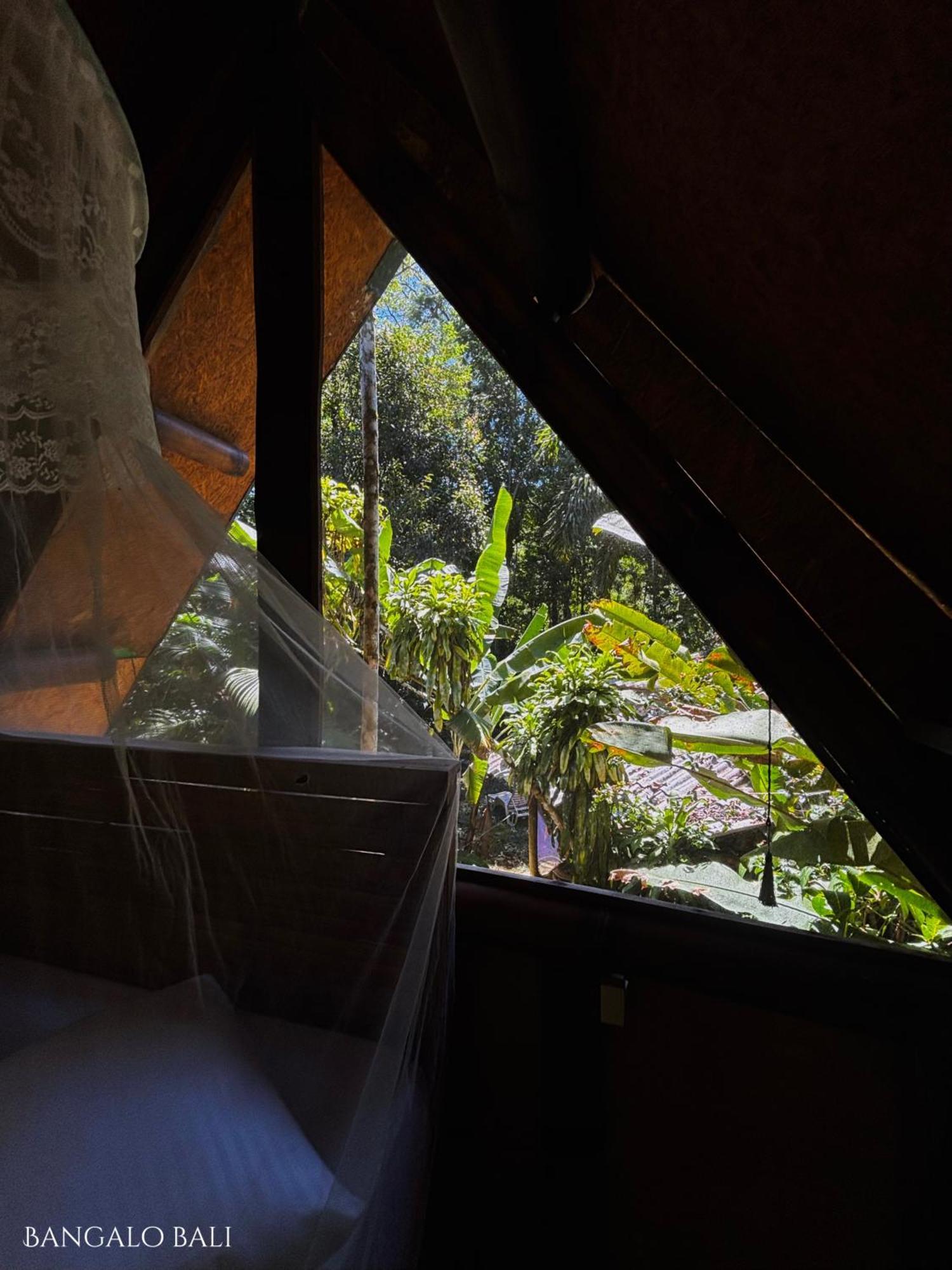 Sitio Simple Life Bed & Breakfast Ubatuba Bagian luar foto